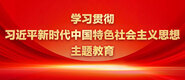 男人用鸡吧捅女人骚鸭月色视频操逼学习贯彻习近平新时代中国特色社会主义思想主题教育_fororder_ad-371X160(2)